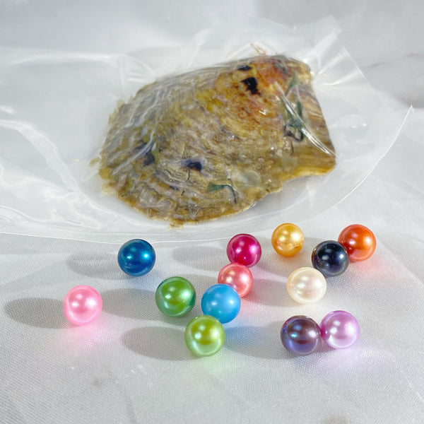 Mysterious box with one Colorful Nucleated Pearl(enhanced/natural color) Small seawater oyster(Live) - pearlsclam