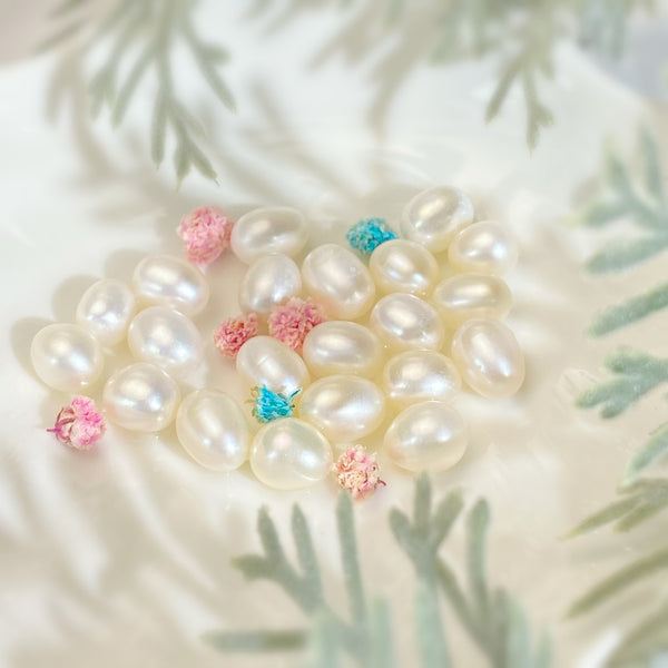 (Buy 1 get 2) "TICTACS" (White) High quality rice shaped Treasure Box Pearls Oyster with 20-25 pearls - pearlsclam